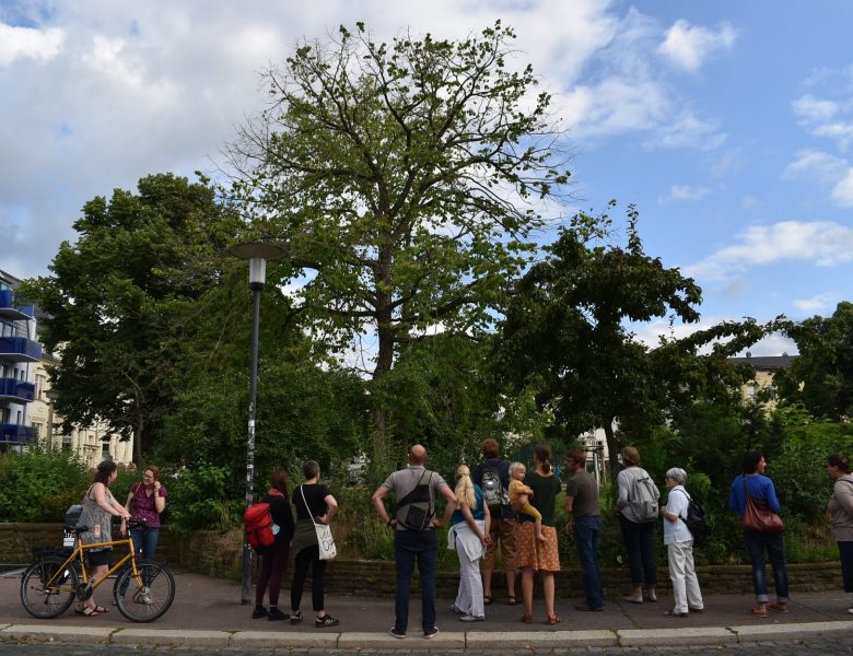 „Stadtgeschichten“ und „ Stadtgrün“: Zwei Stadtspaziergänge in Halle