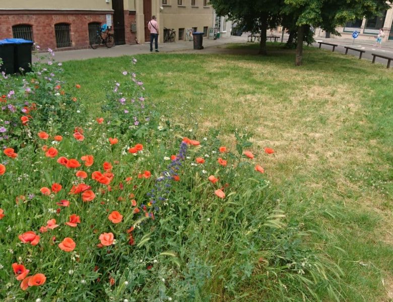 Bunte Flora in Halle